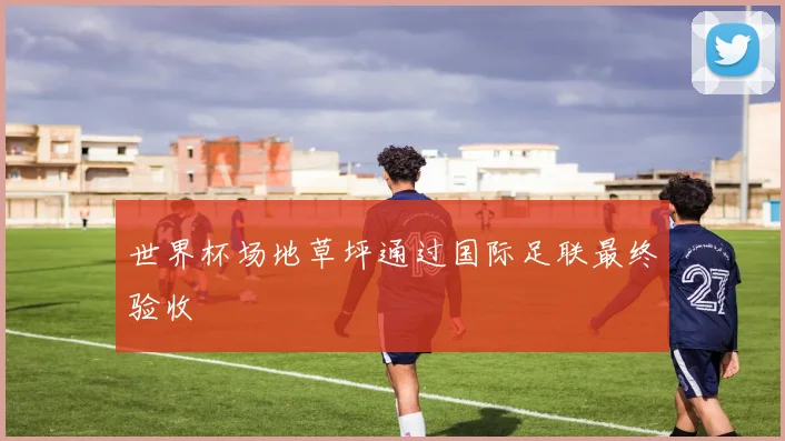 世界杯场地草坪通过国际足联最终验收