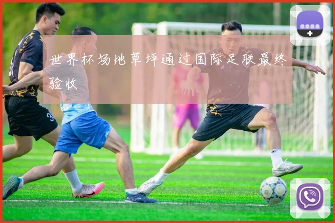 世界杯场地草坪通过国际足联最终验收