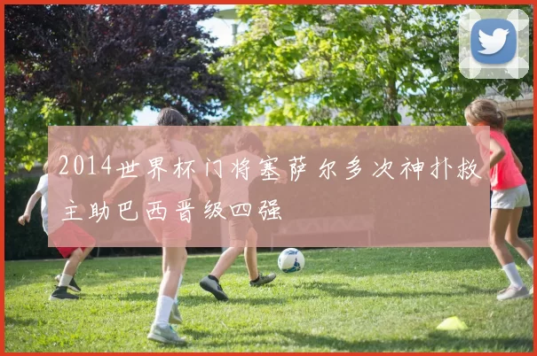 2014世界杯门将塞萨尔多次神扑救主助巴西晋级四强